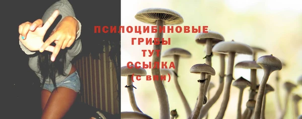apvp Верея