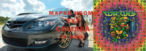 крисы Бугульма