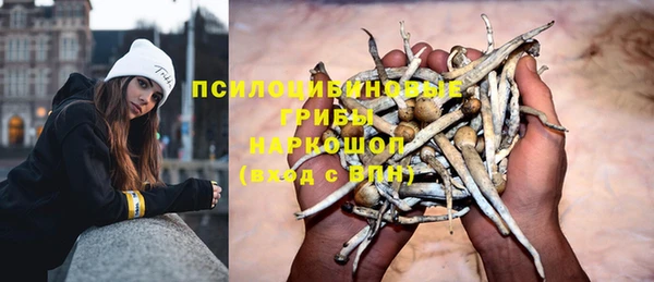 apvp Верея